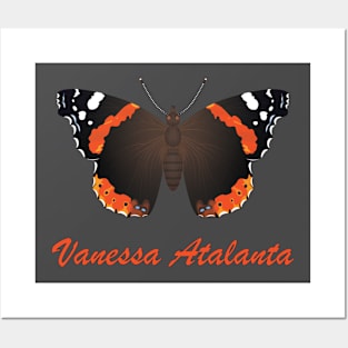 Vanessa Atalanta - with an inscription Posters and Art